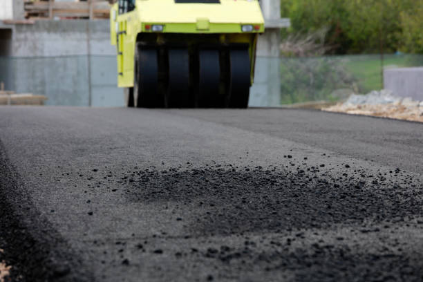 Best Permeable Paver Driveway  in Temple Terrace, FL