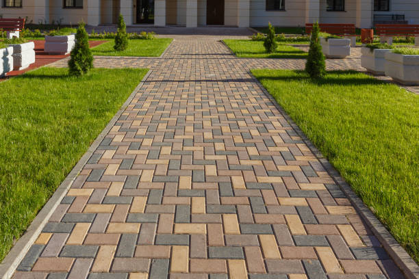 Best Custom Driveway Pavers  in Temple Terrace, FL